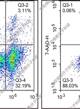 Annexin V-EGFP/7-AAD凋亡检测试剂盒 适用悬浮/贴壁细胞凋亡检测