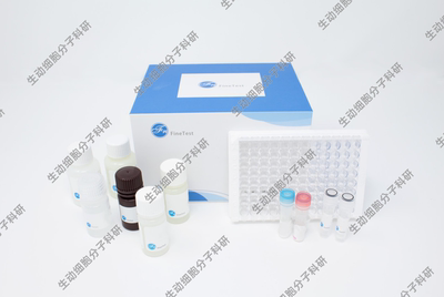 FineTest 小鼠抗环胍氨酸肽抗体(ACCPA)ELISA试剂盒 双抗原夹心法