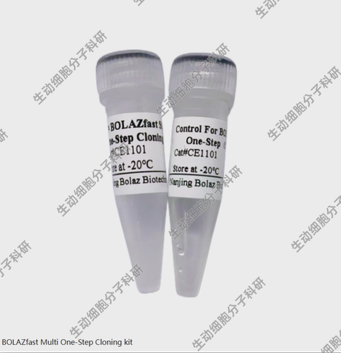 BOLAZ fast Multi一步法快速克隆试剂盒,用于无缝克隆外源DNA片段