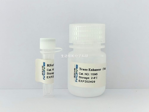 RfectPM V2 siRNA原代细胞转染试剂 适用于原代细胞转染 高效转染