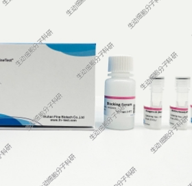 SABC kit(rabbit/mouse)用于IHC/ICC/WB/NB/SB/EMSA检测及ELISA等