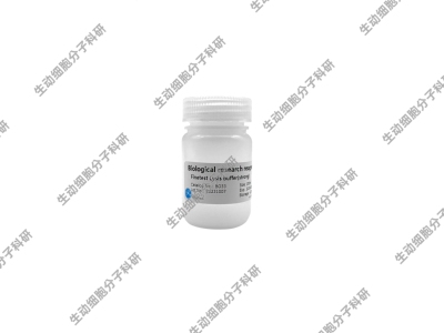 Finetest裂解缓冲液（强）RIPA裂解液（强）组织细胞快速裂解溶液