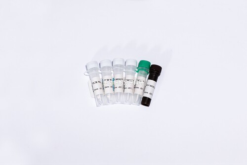 BIOGᴴˢᒼUDG多重探针法荧光定量PCR试剂盒(防污染系统) 靶基因