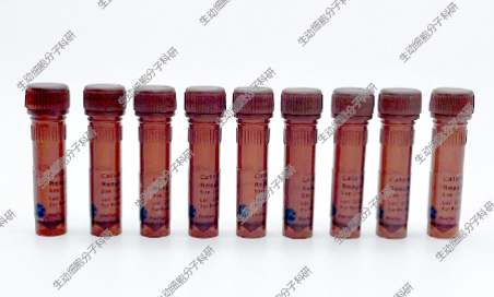 DAB Substrate Kit，DAB底物试剂盒，适用组织/细胞的IHC试剂盒