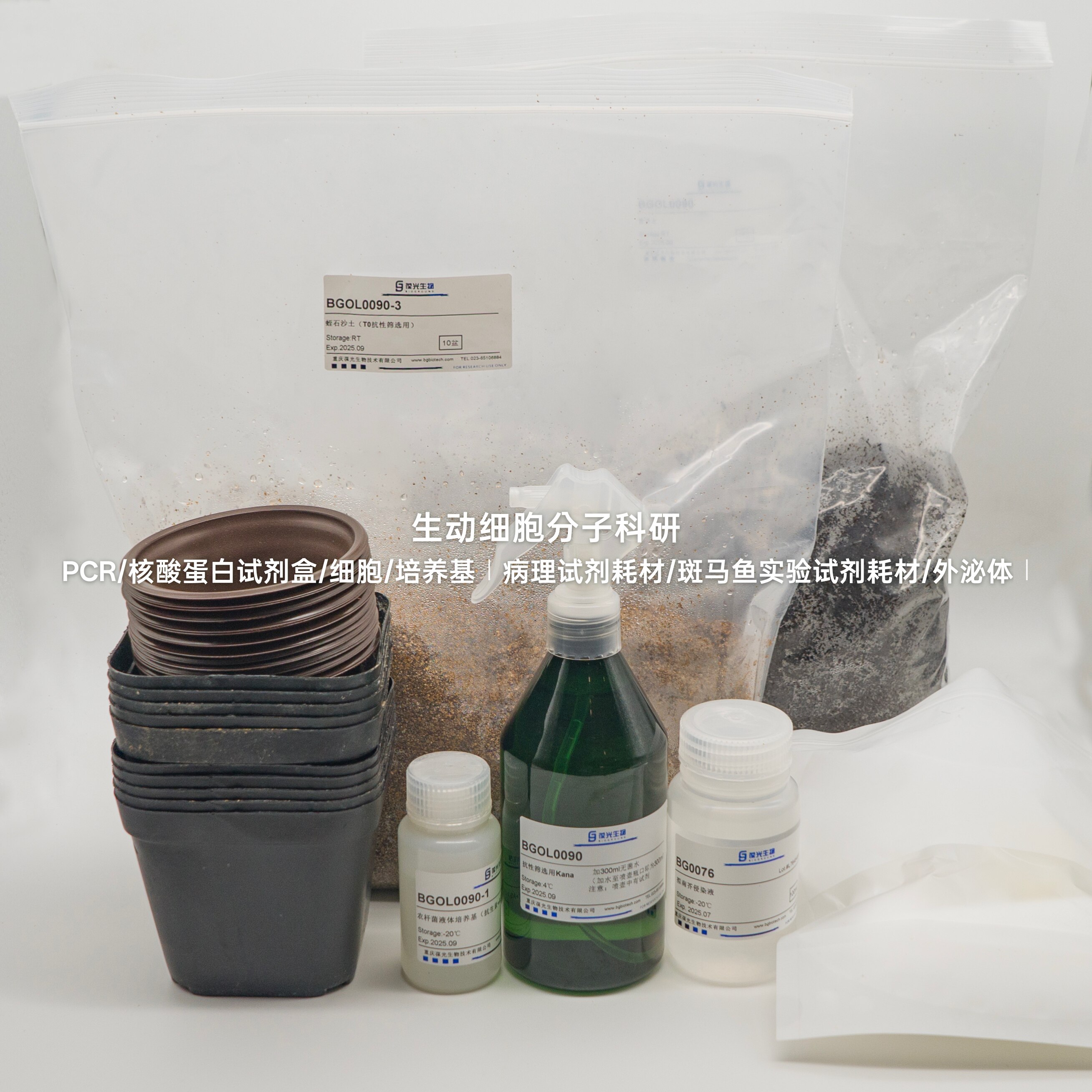 拟南芥遗传转化试剂盒(5个基因) 侵染液,抗性筛选,col-0种植套装