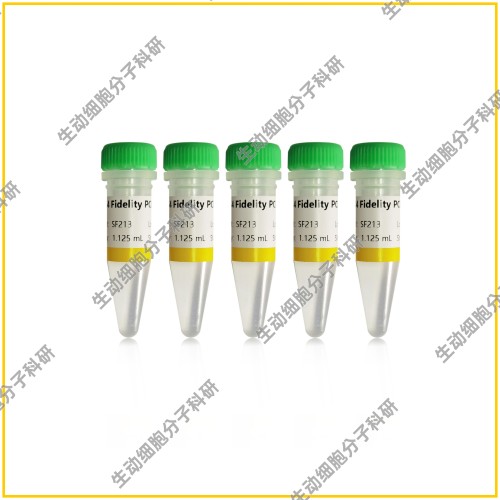 1.1×S4 Fidelity PCR Mix(dye-/dye+)即用型超高保真度 极速延伸