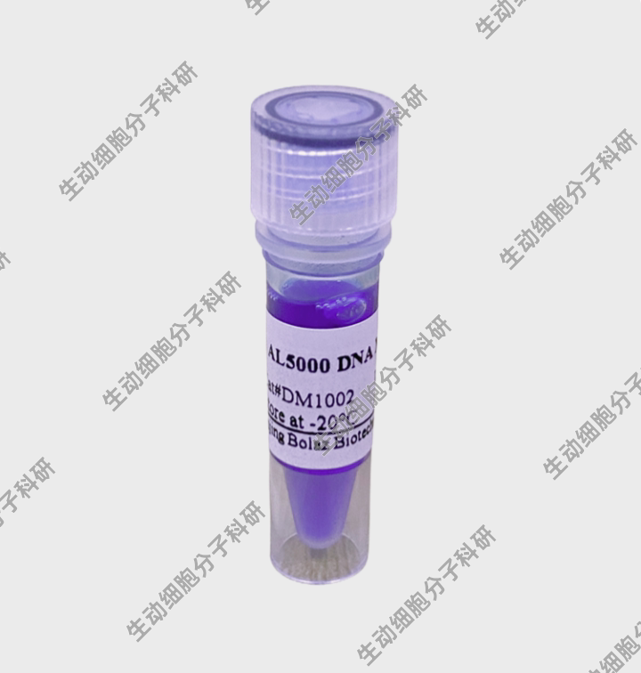 BOLAZ AL5000 DNA Marker(200rxns)含1×loading Buffer的DNA溶液图片
