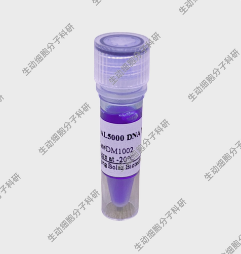 BOLAZ AL5000 DNA Marker(200rxns)含1×loading Buffer的DNA溶液