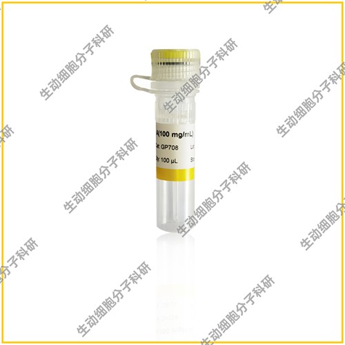 RNase A(100 mg/mL)高效去除基因组提取/质粒提取/蛋白纯化中RNA