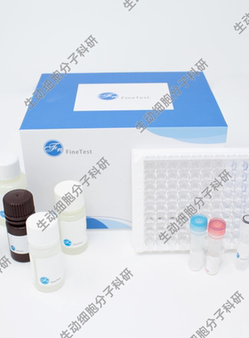 Rat IL-6 ELISA Kit大鼠白细胞介素6(IL-6)ELISA试剂盒双抗体夹心