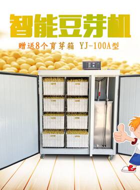 大型商用全自动智能型豆芽机发豆芽神器日产50-300斤豆芽工厂