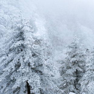 这是一家感情店一分钱素材124