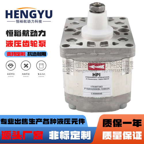 HPI齿轮泵P1BAN2008BL10B02NP3BAN2022CL10B02NC5082379液压泵