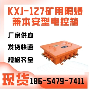 矿用隔爆兼本安型电控箱 127矿用隔爆兼本安型电控箱 便携KXJ