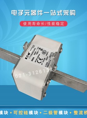 170M8537 8538 8539 8540 8541 8542 8543 8544快速熔断器保险丝