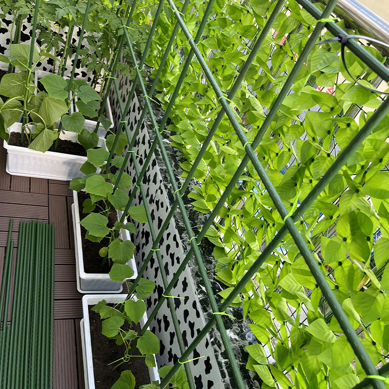 花架爬藤支架葡萄黄瓜架铁线莲月季花柱网格花墙支撑架子庭院户外图片