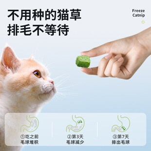猫草冻干粒猫咪零食化毛球片猫草棒磨牙洁齿幼猫增肥发腮毛球克星
