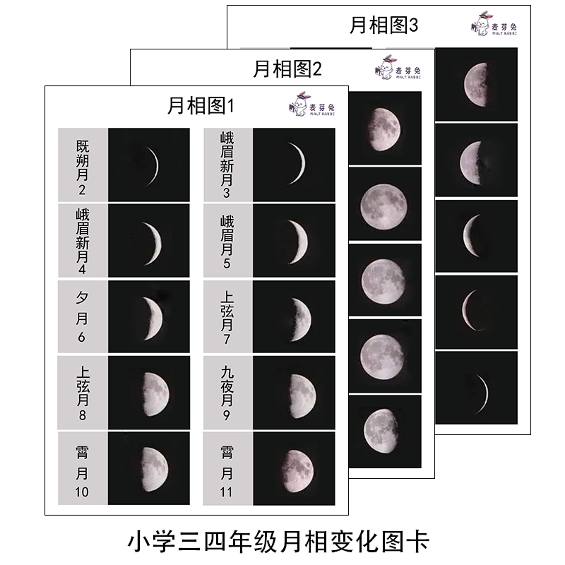 三四年级月相图卡纸片