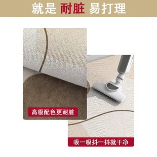 入户门地垫耐脏简约玄关防水欧式 2024新款 轻奢稳固防滑可裁剪地垫