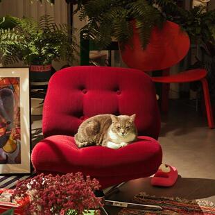 杜威林格单人沙发椅客厅阳台休闲椅旋转包豪斯红色升降懒人小沙发