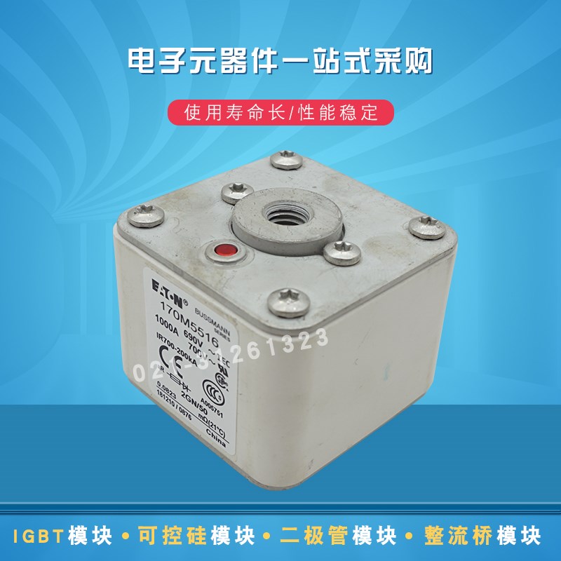 170M5559 5560 5561 5562 5563 5564 5565 5566巴斯曼熔断器全新