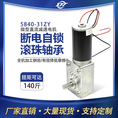 25840-31ZY涡轮蜗杆大扭力小马达12V24V微型永磁无刷直流减速电机