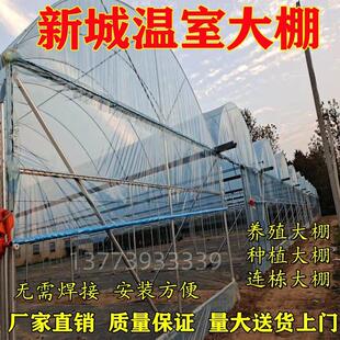 家用养鸡棚种植棚养殖猪牛羊大棚连体大棚简易养殖定制椭圆管大棚