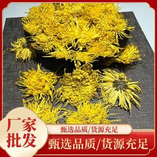金丝皇菊大菊花菊花茶黄山皇菊散装大朵菊花黄花瓣可
