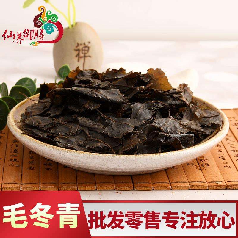 供应 大量现货 毛冬青叶 毛冬青茶 大叶 苦丁茶