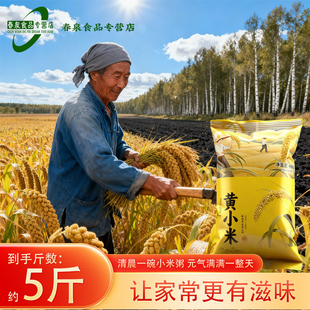 2025年新米上市口感丰富约2.5kg 东北小米约5斤装 奕米阳光
