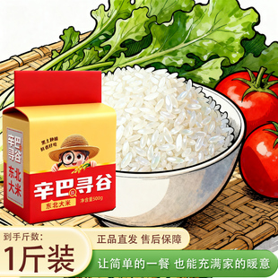 2025年新米上市东北大米1斤装颗粒饱满农家自产500g新日期真空装