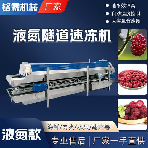 厂家供应隧道式速冻机 鱼类速冻设备 水饺食品速冻加工流水线设备