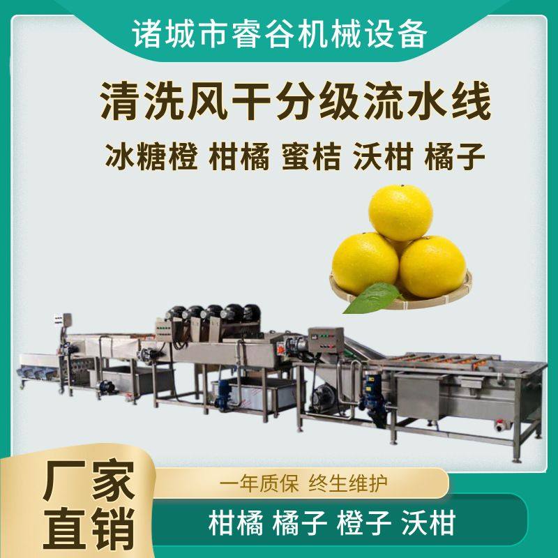 商用滚杠式沃青皮橙洗风干分选 果蔬水洗风干机械 青皮橙分级设备,包装,金属盖,淘宝优惠券,粉丝福利购,淘宝优惠卷