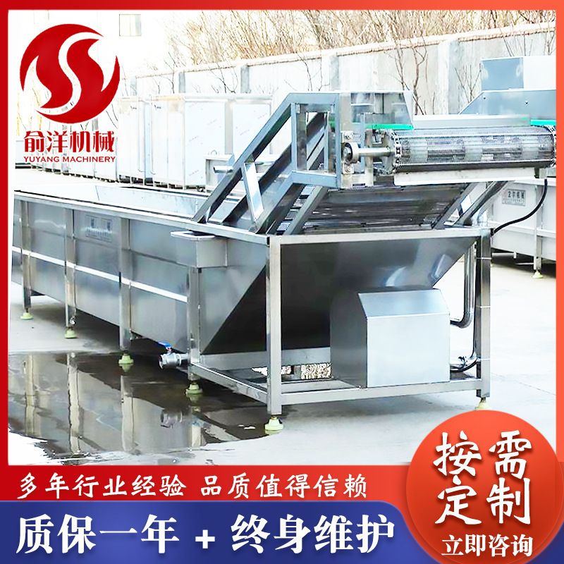 不锈钢水果气泡清洗机 香菇气泡清洗设备 白菜萝卜清洗机定制