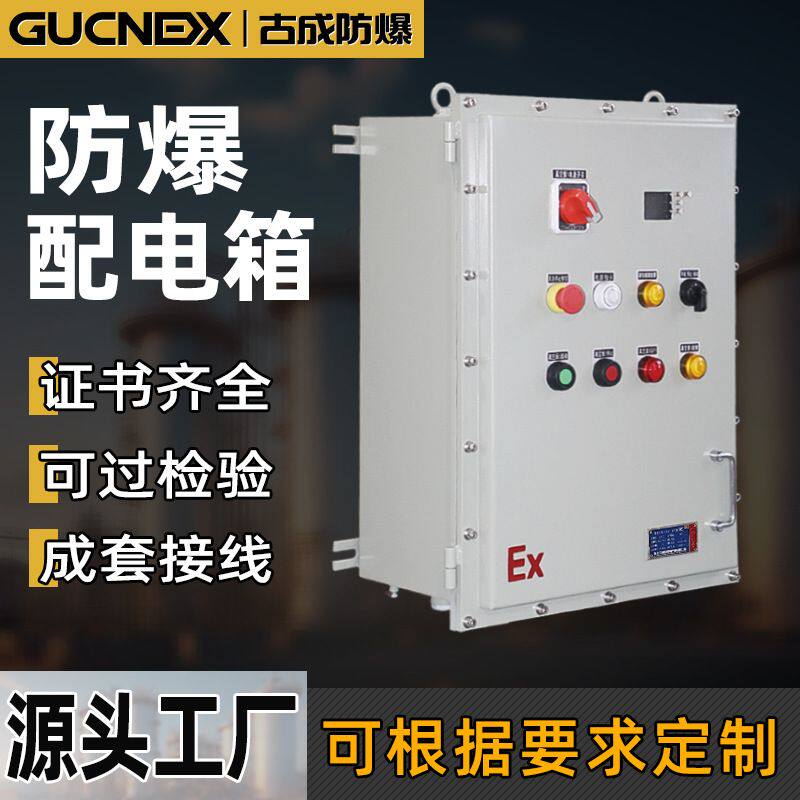 防爆配电箱端子接线箱动力仪表正压柜按钮控制开关检修插座箱定制
