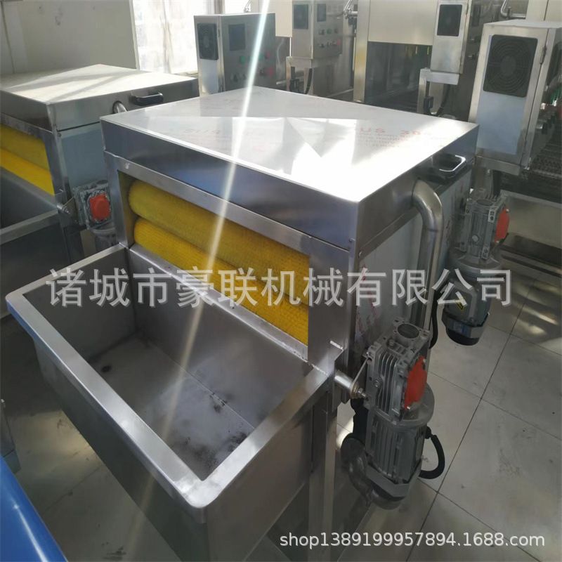 粽叶清洗机 清洗菠萝叶 苇叶 竹叶等薄叶清洗 高效节省人工
