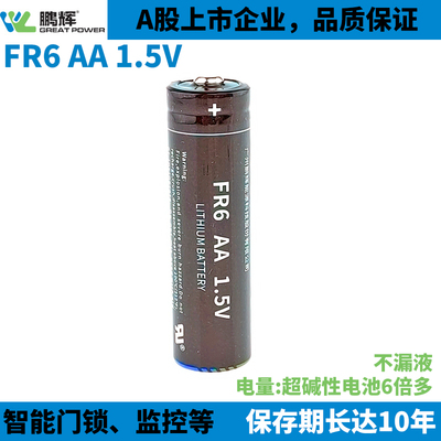 鹏辉5号AA锂铁FR6锂电池1