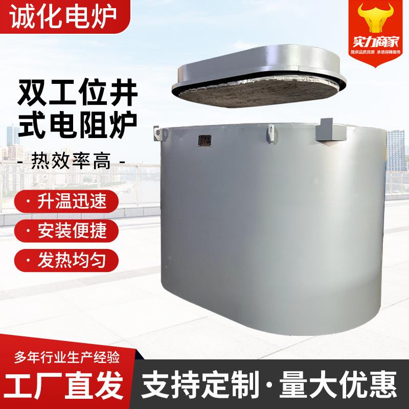 双工位井式电阻炉RJs-80-4马弗炉熔锌铅铝锡电炉非标定制