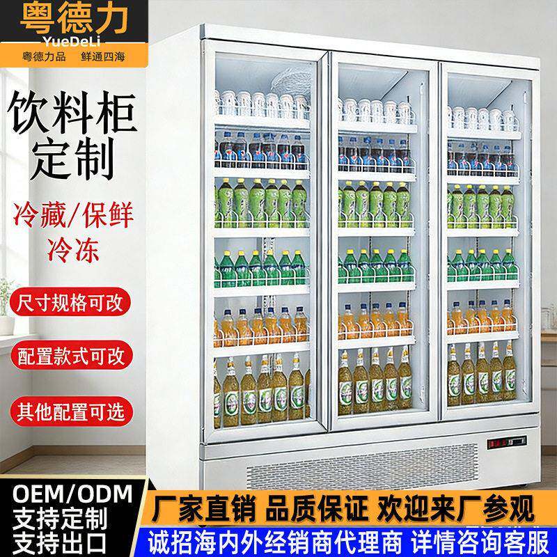 豪华饮料展示柜豪华冷藏冷冻保鲜柜商超便利店立式一体机定制风冷