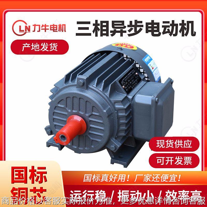 厂家直供全铜线三相异步电动机Y200L-4级-30W 船舶用三相电机
