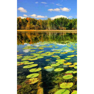 这是一家感情店一分钱素材