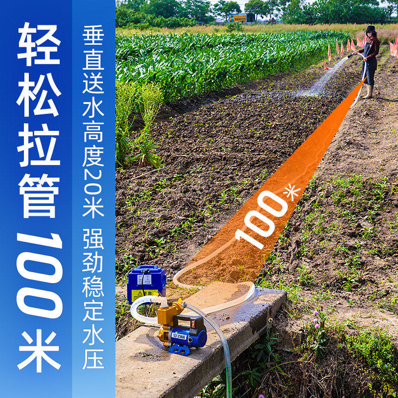 浇菜神器农用灌溉抽水机12V48V220V大功率自吸泵家用抽水泵浇水机,鲜花速递/花卉仿真/绿植园艺,花园水泵,淘宝优惠券,粉丝福利购,淘宝优惠卷