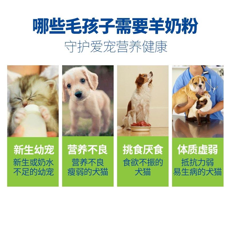 宠贝智羊奶粉猫用幼猫专用孕乳猫咪成猫产后喝的狗狗幼犬宠物奶粉,宠物/宠物食品及用品,猫奶粉,淘宝优惠券,粉丝福利购,淘宝优惠卷