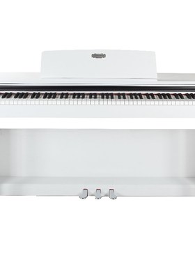 珠江艾茉森vp119S电钢琴88键重锤家用专业初学者电子数码钢琴