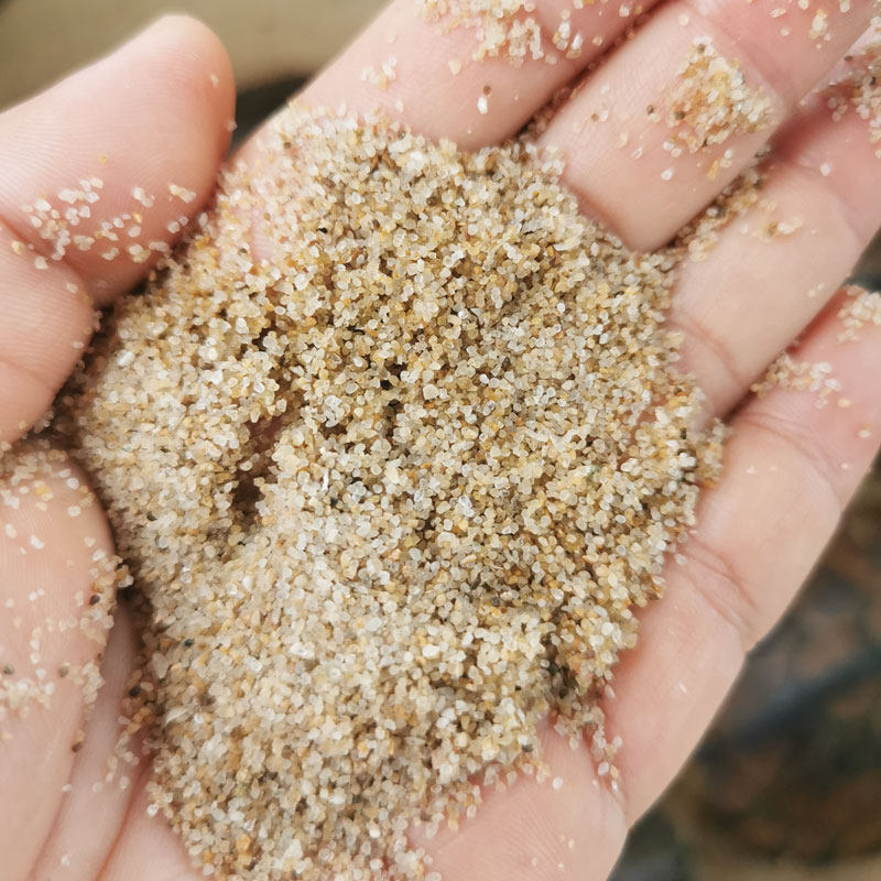 过筛网细腻爬宠物猫便乌龟沙子产蛋沙冬眠孵化砂底缸造景专用无菌,宠物/宠物食品及用品,造景/装饰,淘宝优惠券,粉丝福利购,淘宝优惠卷