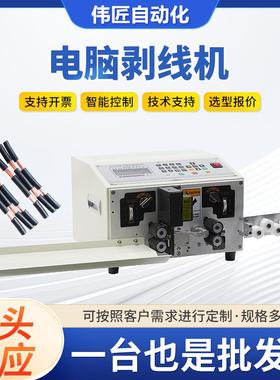 全自动电脑裁线剥线机WJ-SX10平方能源线电缆护套线充电桩剥线机