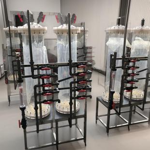 离子交换树脂柱交换器离子交换柱透明有机玻璃亚克力树脂交换设备