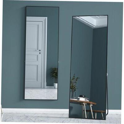 metal frame rack full-body mirror wall mirrow Bedroom mirror