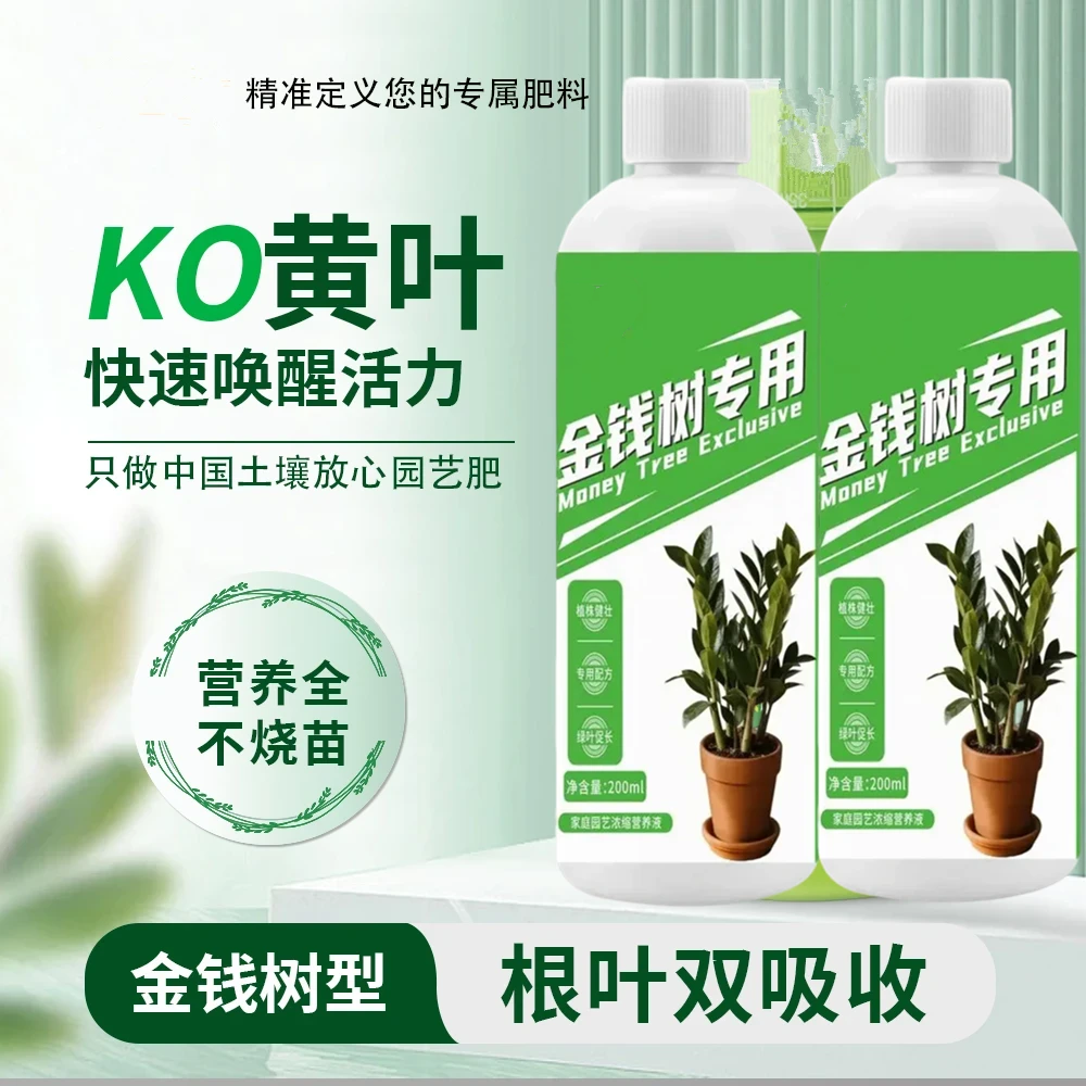 沃丞相金钱树叶子枯黄掉叶专用营养液发财树肥料专用肥防黄叶落叶