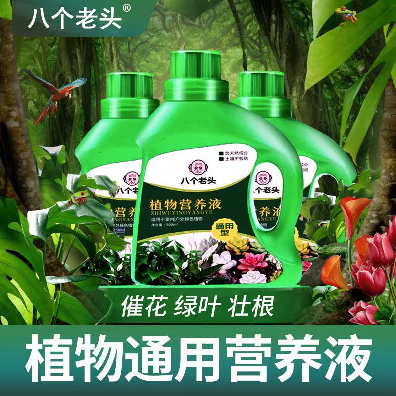 家庭园艺植物养花兰花专用肥君子兰通用型花肥料富贵竹室内绿植